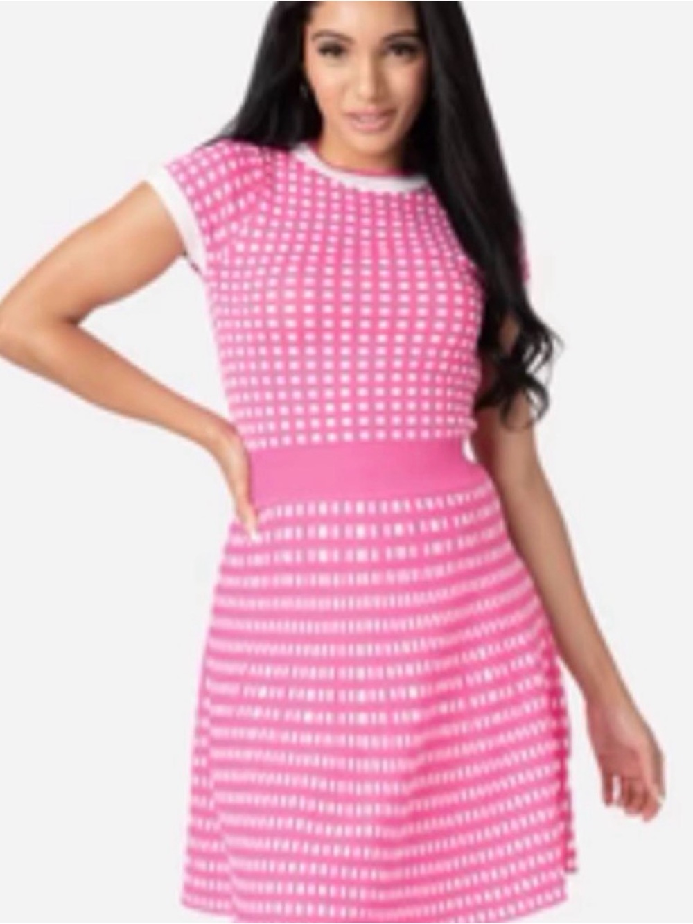 EINII Pink & White Gingham A-Line Dress size L
